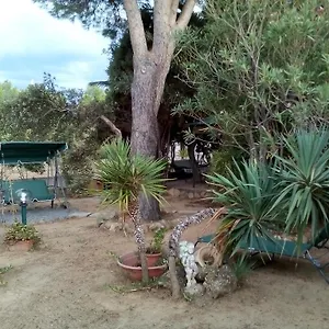 Il Vigneto Capoterra